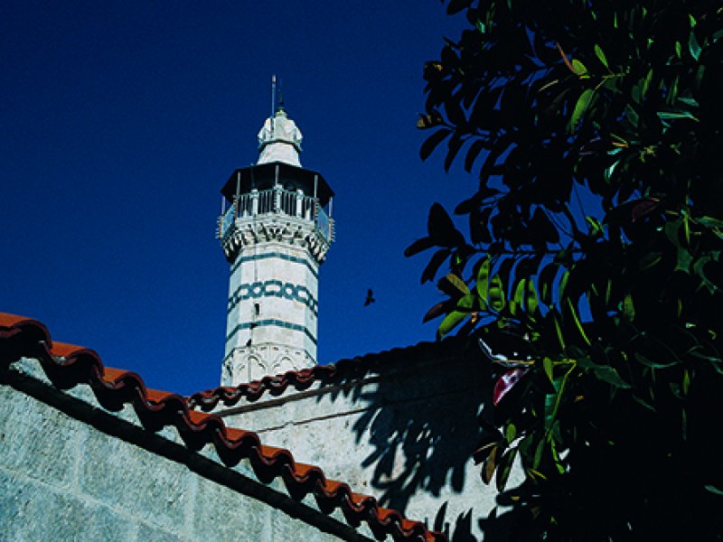 Journey to the Secrets of Adana